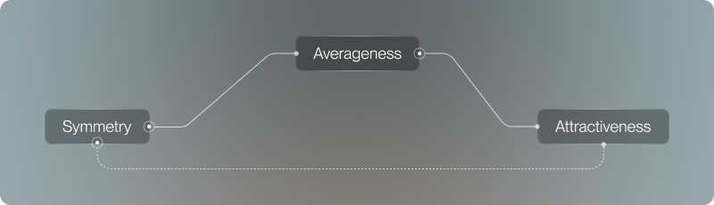 Theoretical model indirect link between symmetry and attractiveness