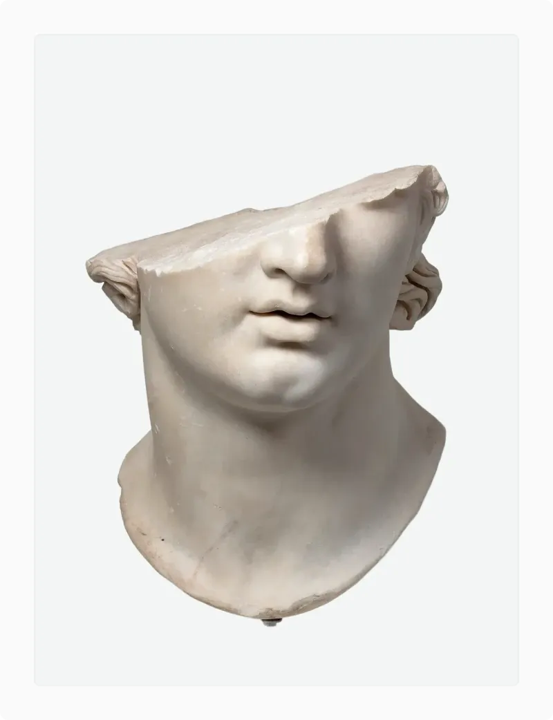 Greek marble head and shoulders sculpture as a classical reference for sculpted facial structure