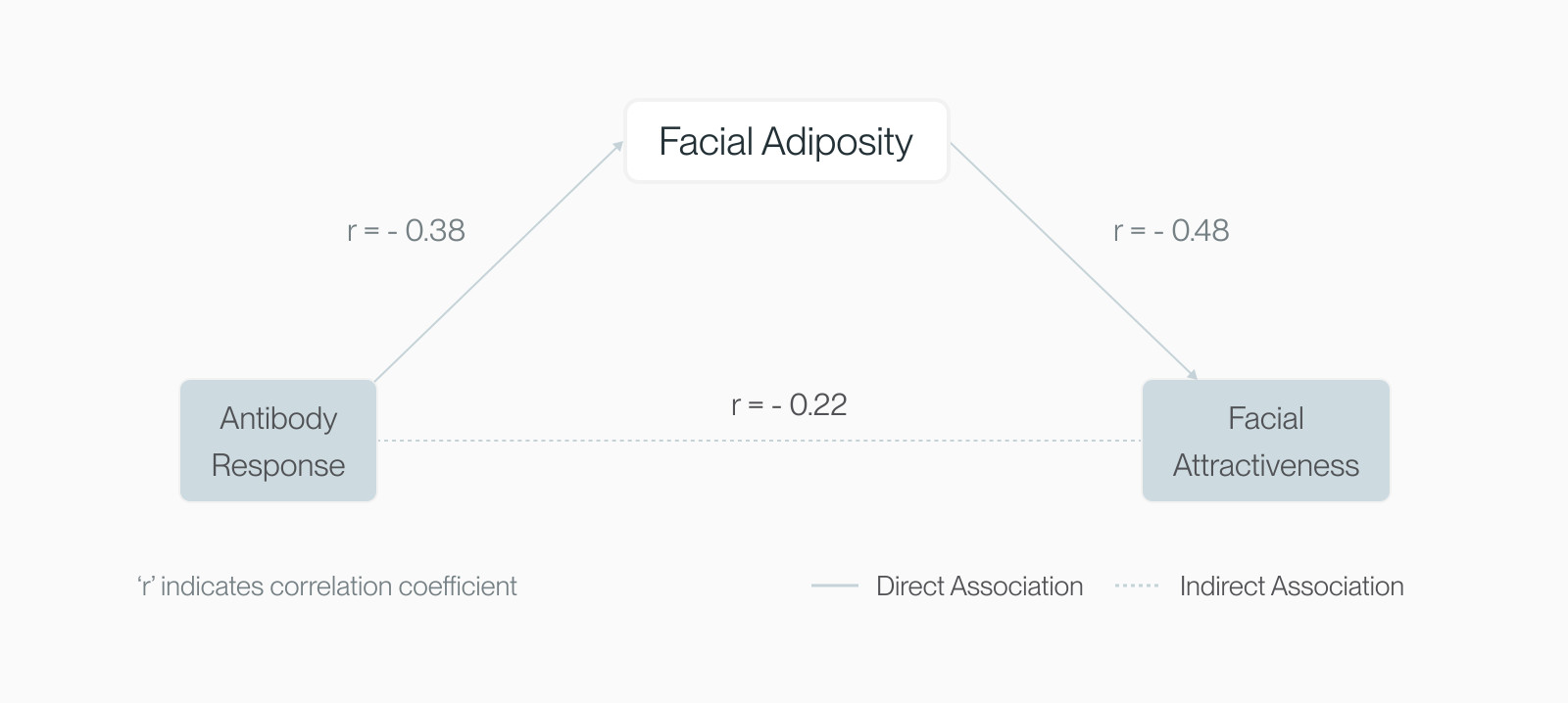 Triangle diagram linking facial adiposity, antibody response and facial attractiveness with their correlation coefficients