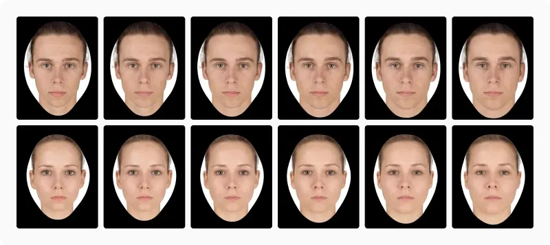 Two rows of six female and male composite faces ranked along the BMI axis