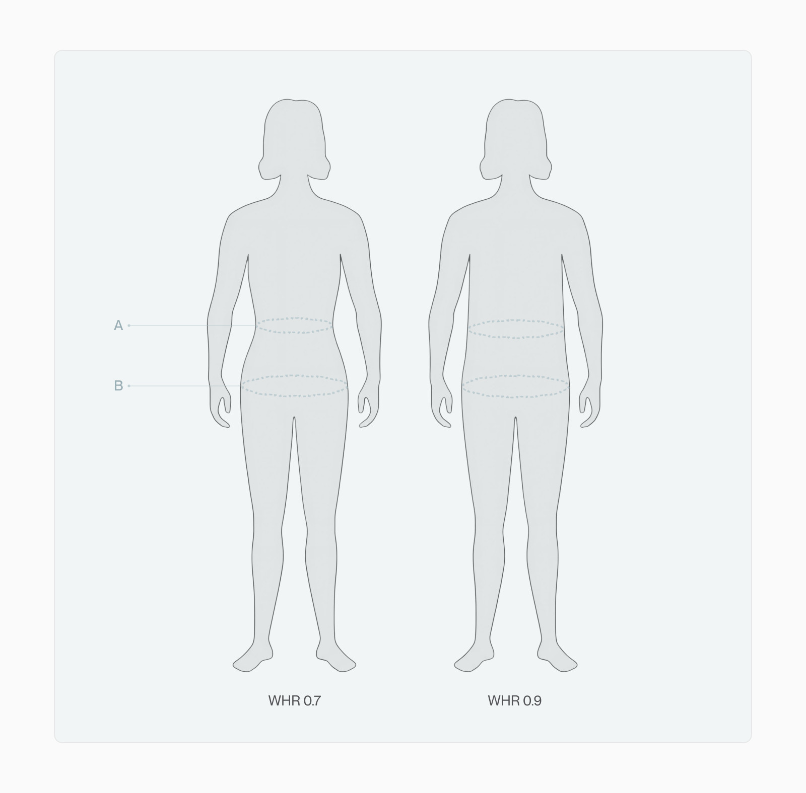 Two female body silhouettes with the waist and hips marked, one with a waist-to-hip ratio of 0.7 and one with 0.9