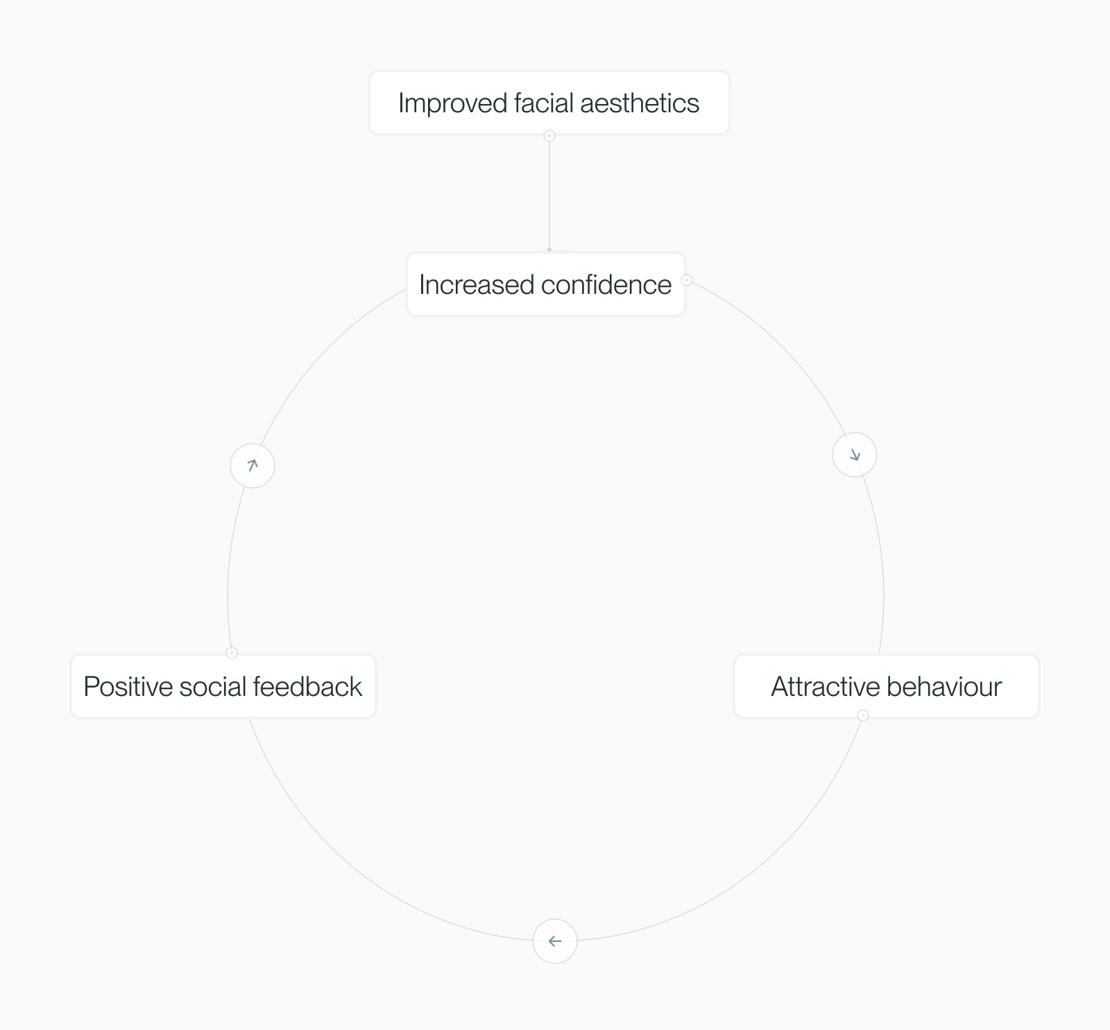 Circular feedback loop: improved aesthetics, increased confidence, attractive behaviour, positive social feedback