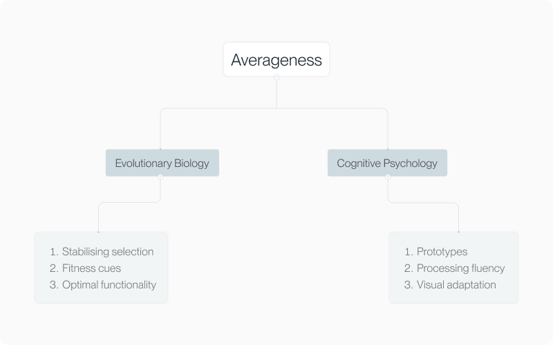 Averageness article fig 13 (placeholder alt — refine in CMS)