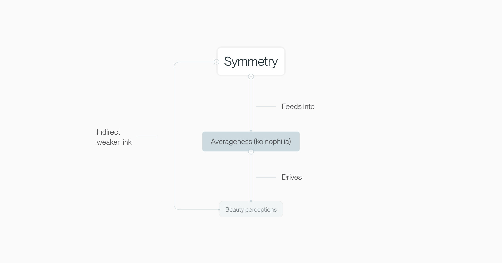 Diagram: symmetry feeds into averageness, which drives beauty perceptions, with an indirect weaker link from symmetry