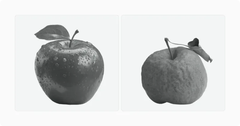 Two apples side by side, one fresh and one wrinkled, illustrating prototypical versus distinctive forms