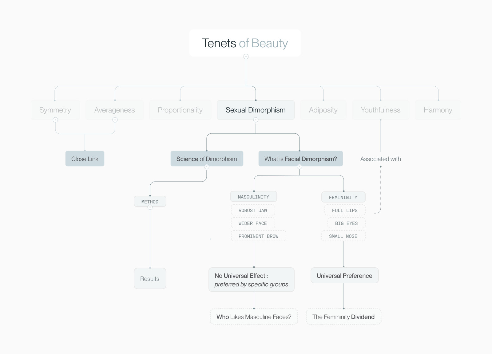 Mindmap placing sexual dimorphism within the seven tenets of beauty framework