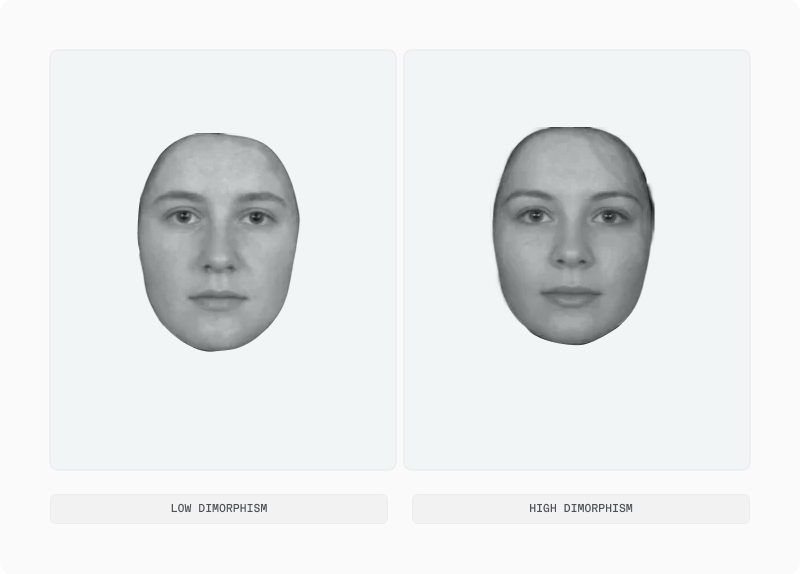 Facial Dimorphism article — figure 13 (replace alt in CMS)