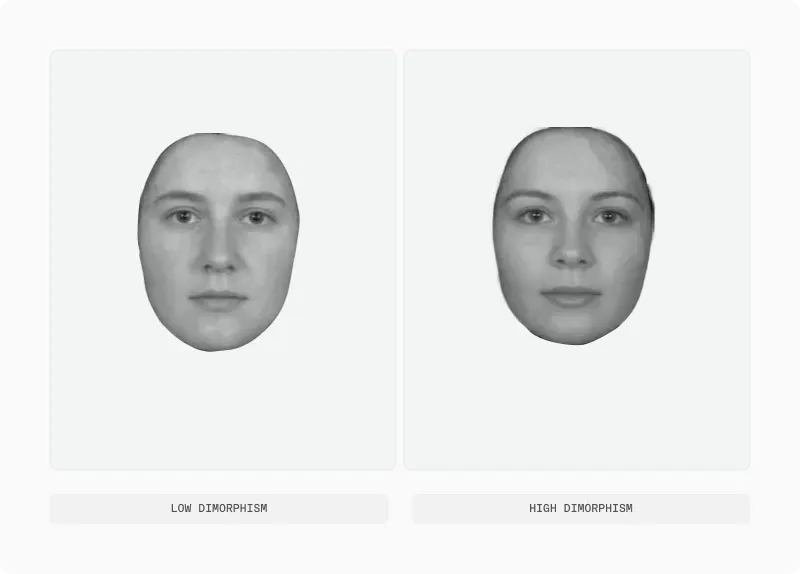 Three female portraits ranked from low to high dimorphism in a single row