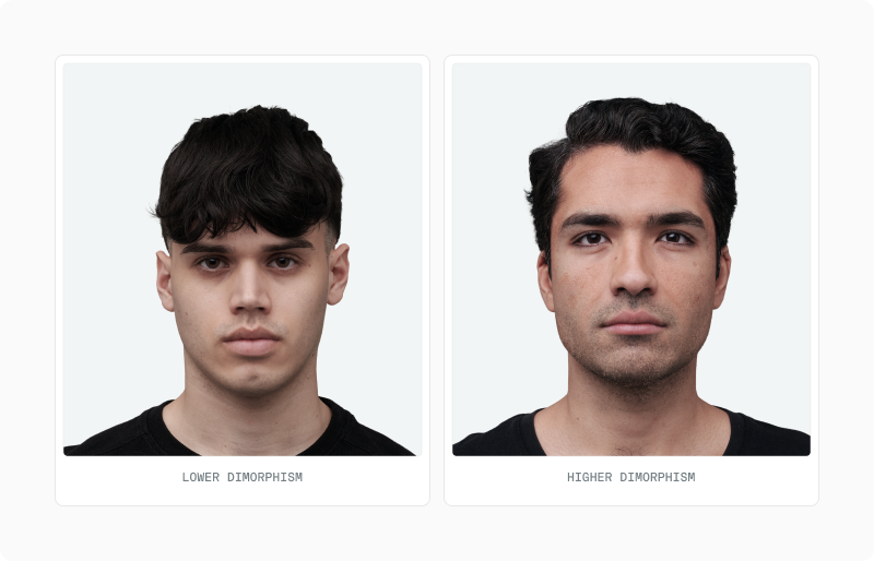 Facial Dimorphism article — figure 21 (replace alt in CMS)