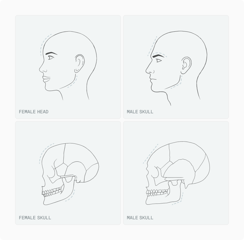 Facial Dimorphism article — figure 24 (replace alt in CMS)