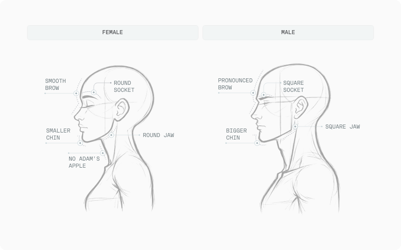 Facial Dimorphism article — figure 4 (replace alt in CMS)