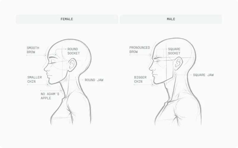 Side-view illustrations of female and male heads labelling jaw, brow, chin and Adam's apple differences