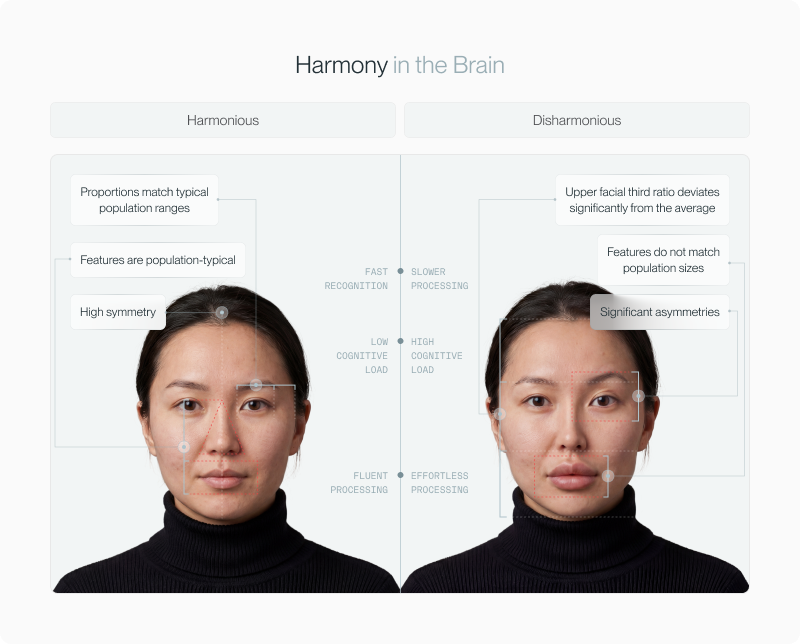 Facial Harmony article — figure 4 (refine in CMS if needed)