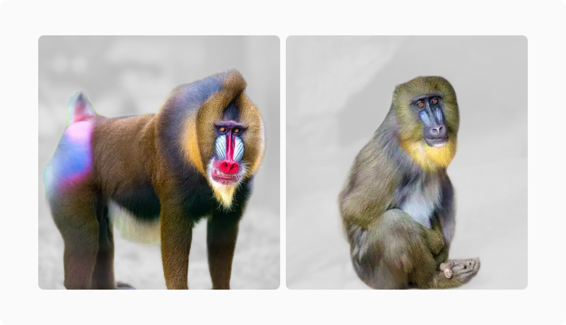 Facial Neoteny article — figure 13 (refine in CMS if needed)