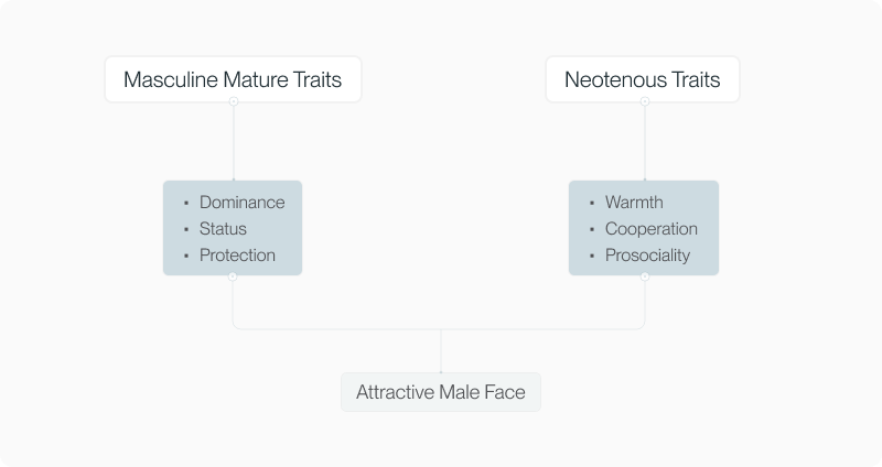 Facial Neoteny article — figure 15 (refine in CMS if needed)
