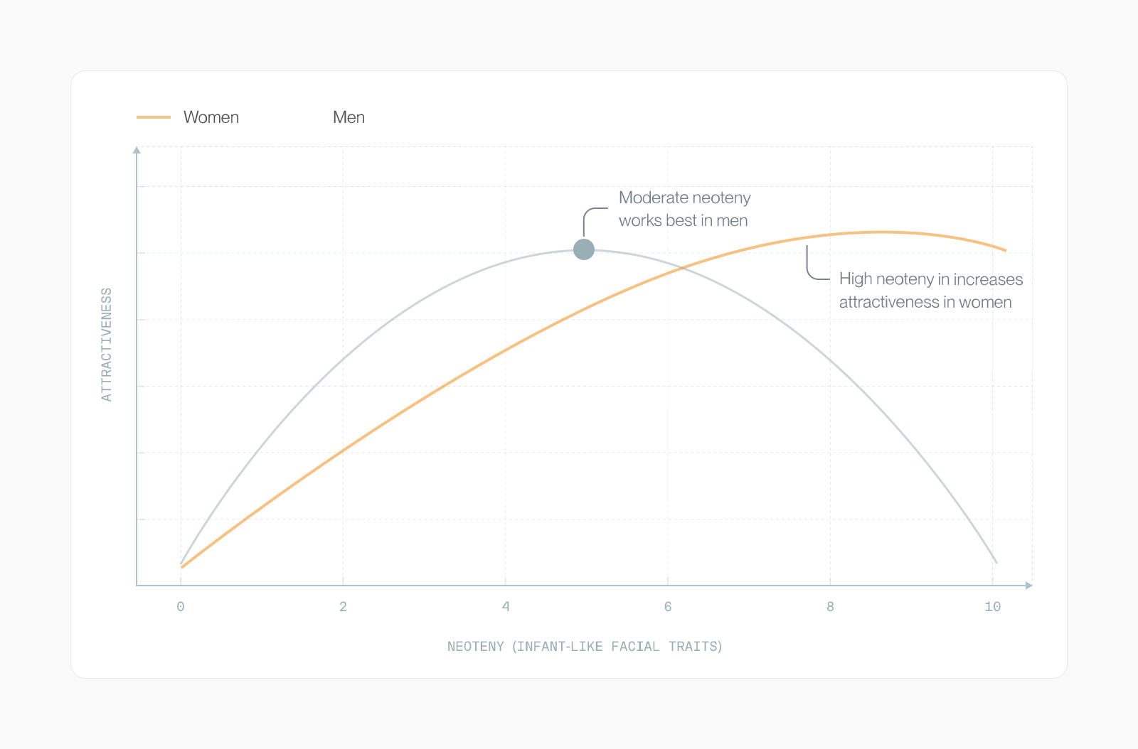 Curves comparing the neoteny-attractiveness response in women and men: women peak at high neoteny, men at moderate