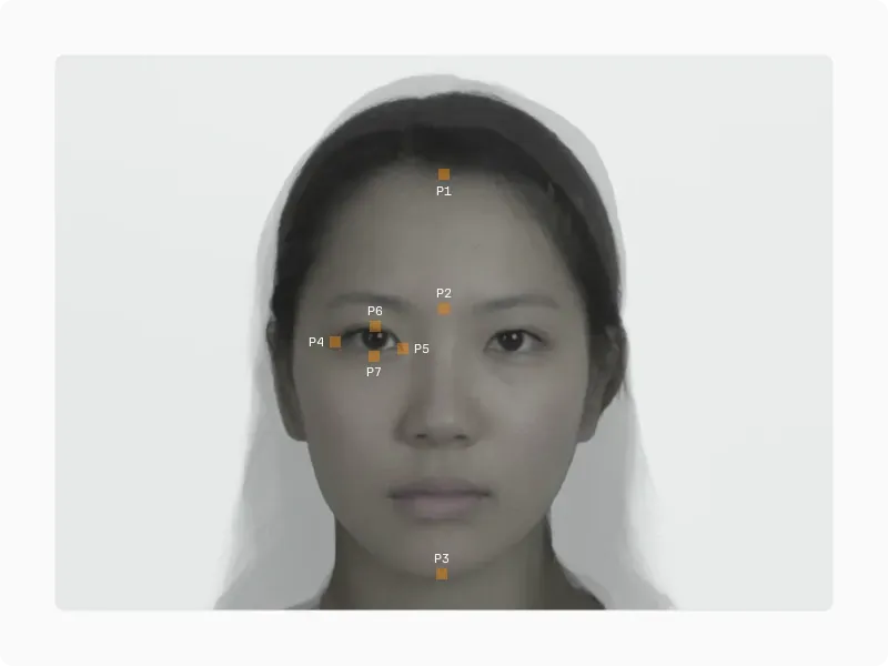 Hand-drawn diagram of a face with 24 numbered neoteny measurements across the forehead, eyes, nose, mouth and chin