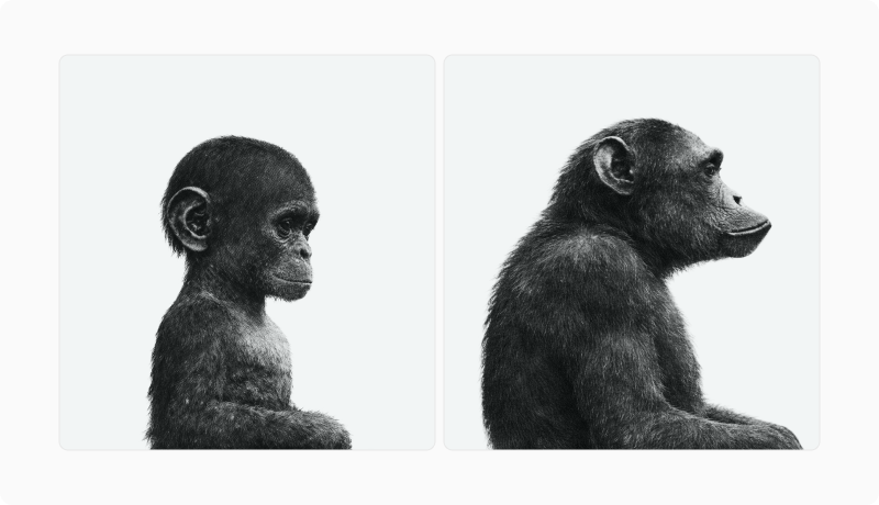 Facial Neoteny article — figure 5 (refine in CMS if needed)