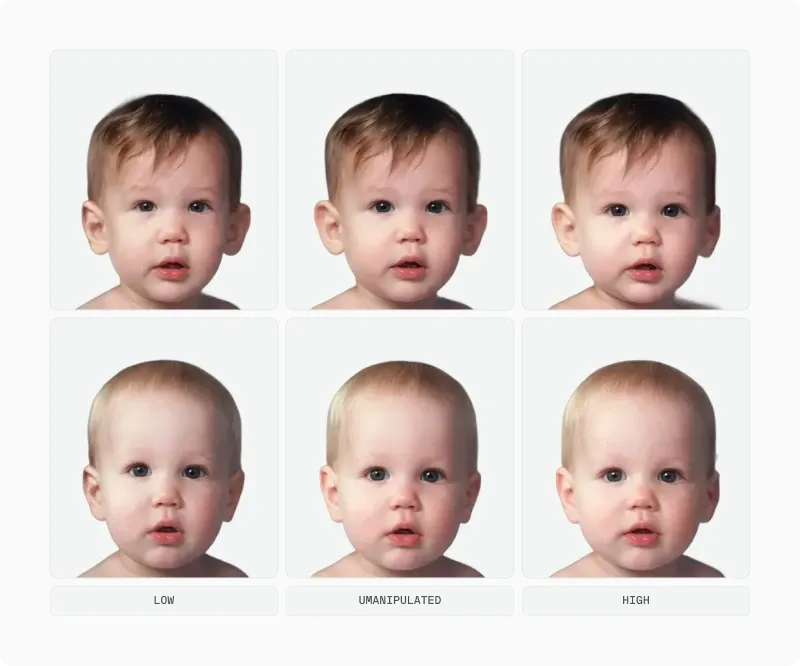 Three baby portraits manipulated from low to high baby-schema features
