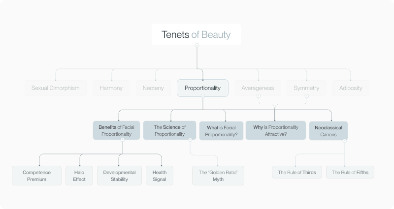 Facial Proportionality article — figure 1 (refine in CMS if needed)