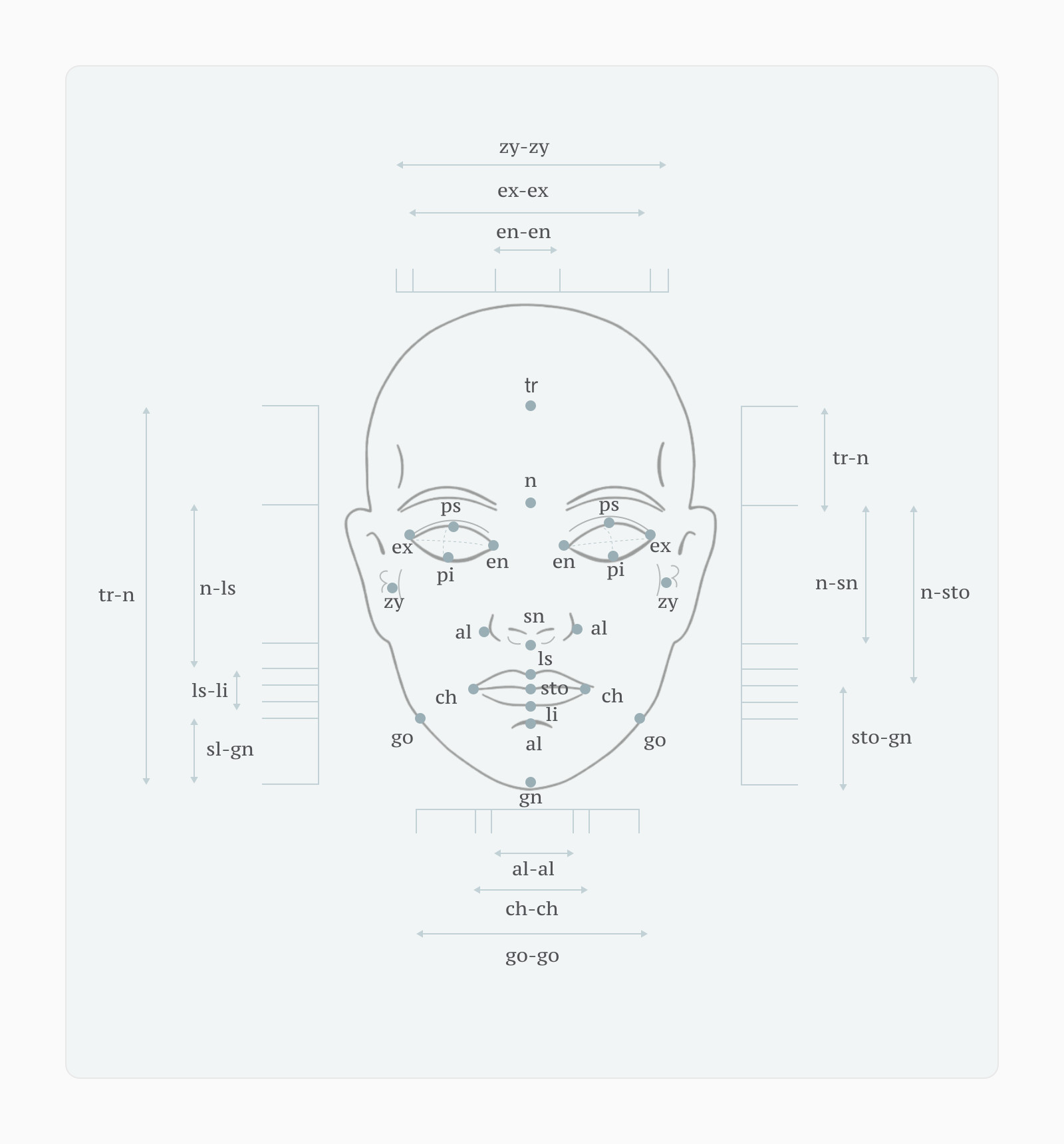 Schematic front face with Farkas anthropometric measurements (tr, n, sn, gn, zy, ex, en, ch, go) labelled across width and height