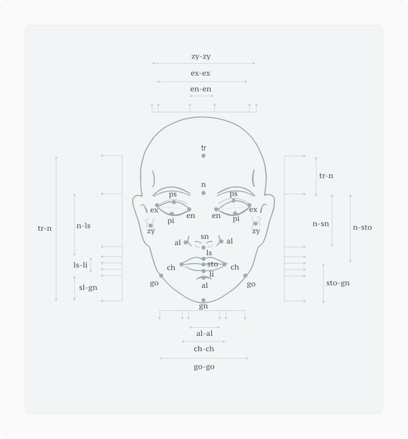 Facial Proportionality article — figure 13 (refine in CMS if needed)