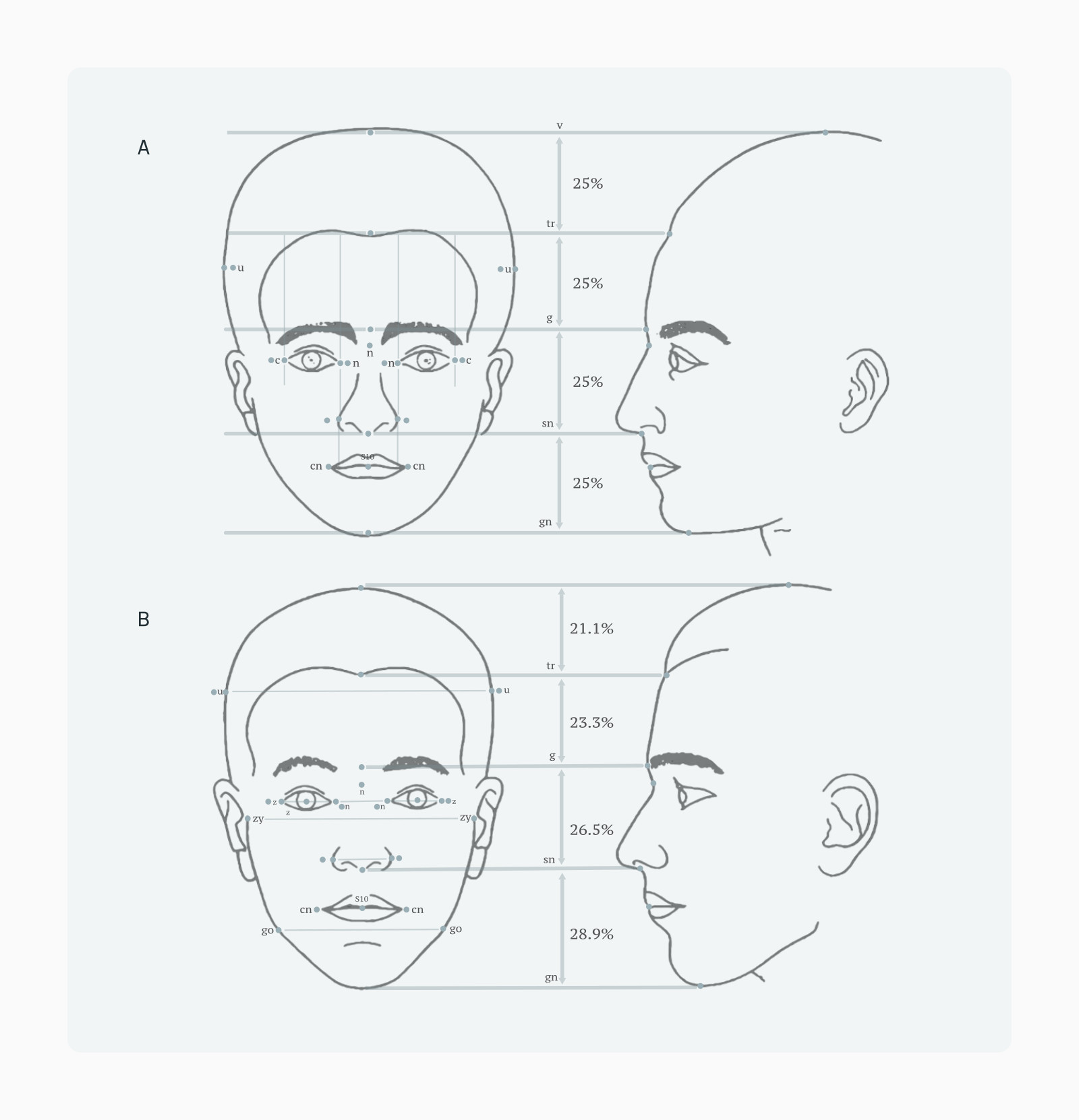 Side-by-side front and profile head diagrams comparing the Neoclassical canon (equal quarters) with Farkas' measured proportions