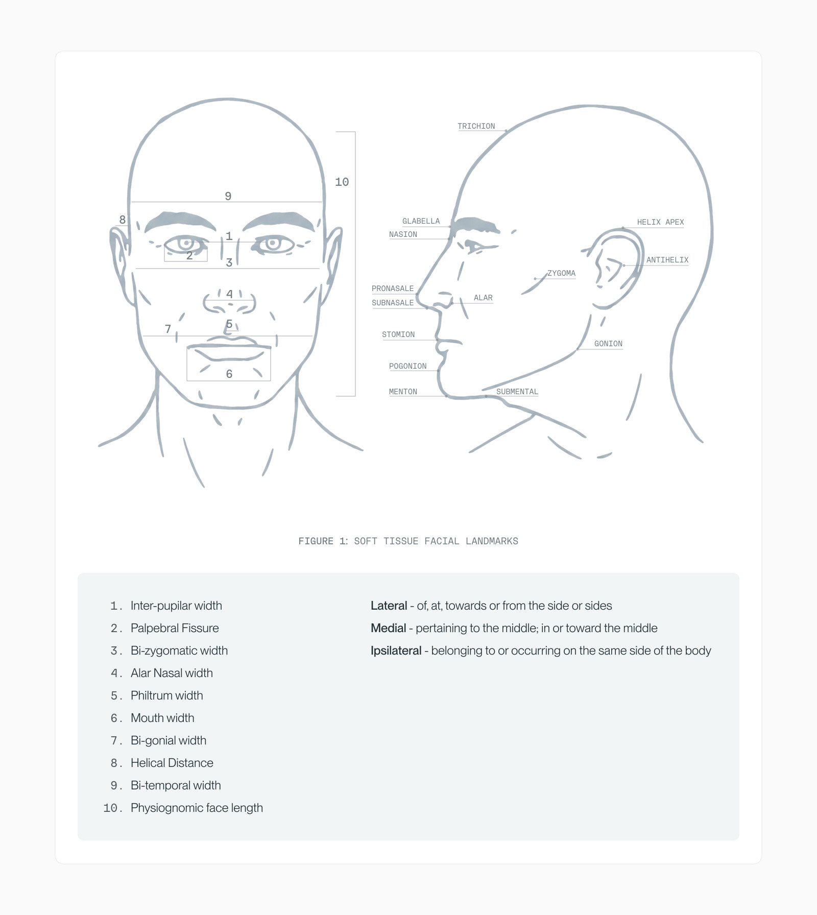 Front and side schematic head diagrams with anthropometric landmarks (trichion, nasion, alar, gonion, menton) labelled, with a definitions panel