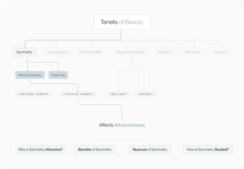 Roadmap diagram of the seven tenets of facial aesthetics highlighting symmetry — used as the article intro chart