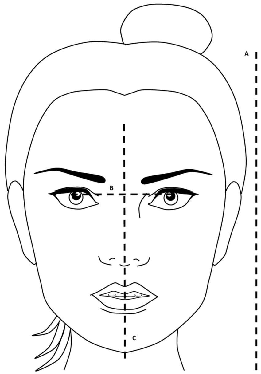 Drawing of a face with reference lines