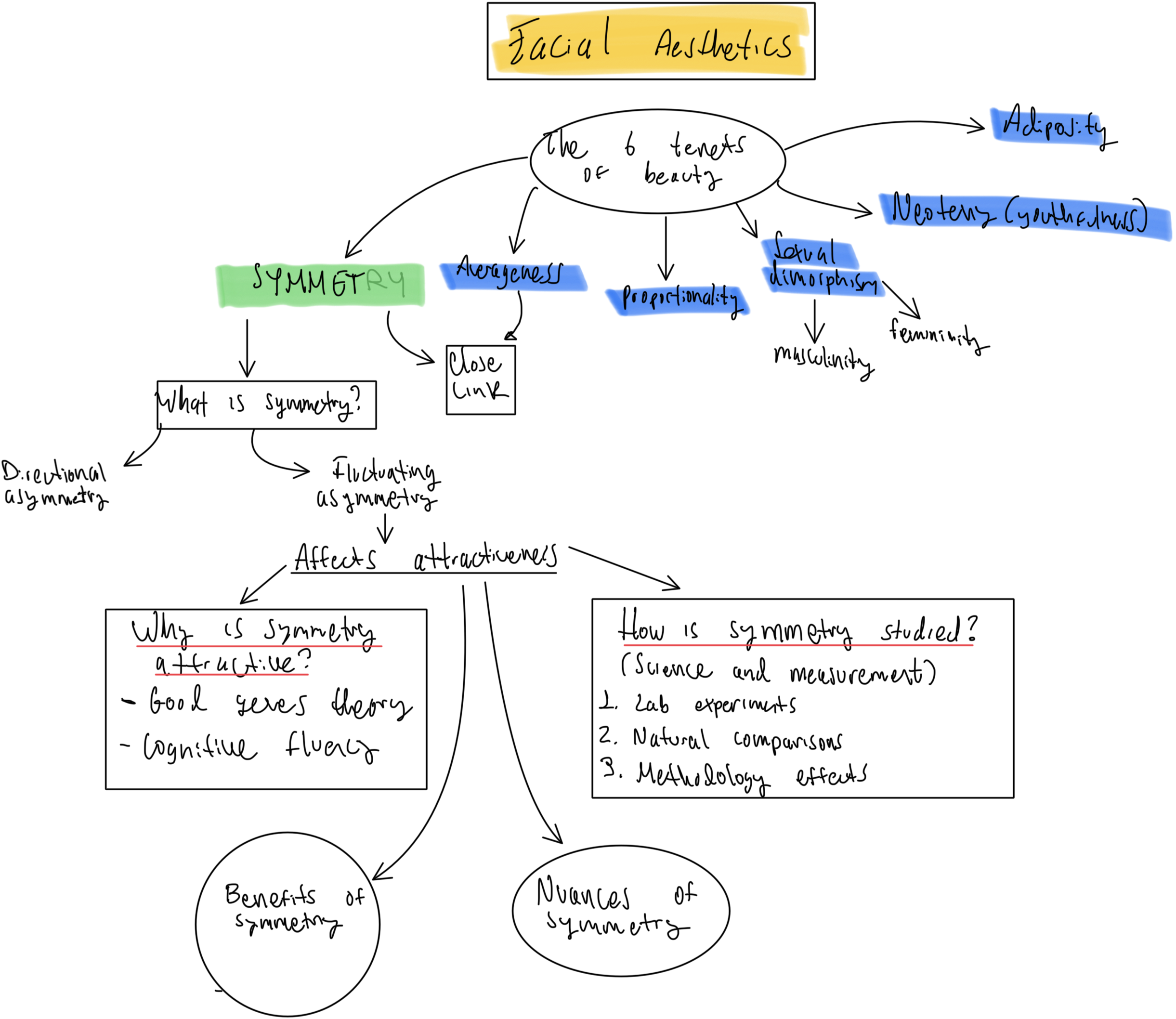 Article Roadmap: Symmetry and the Tenets of Beauty