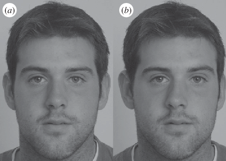 Symmetry experimental manipulation