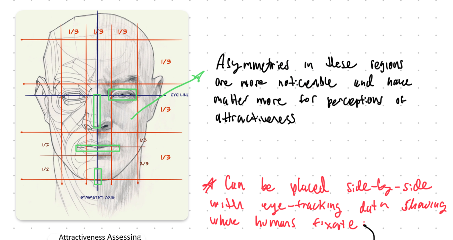 Asymetries, Reference Lines, and Eye-Tracking