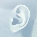 Ear Ear