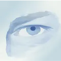 Eyes Eyes