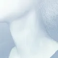 Neck Neck