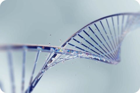 Genetic factors Genetic factors